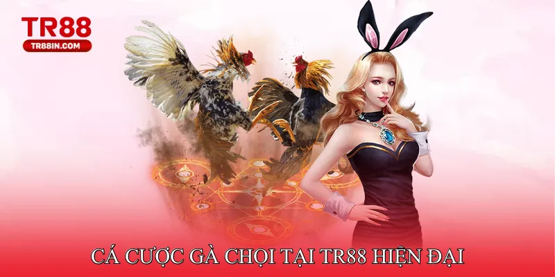 Cá cược gà chọi  hiện đại